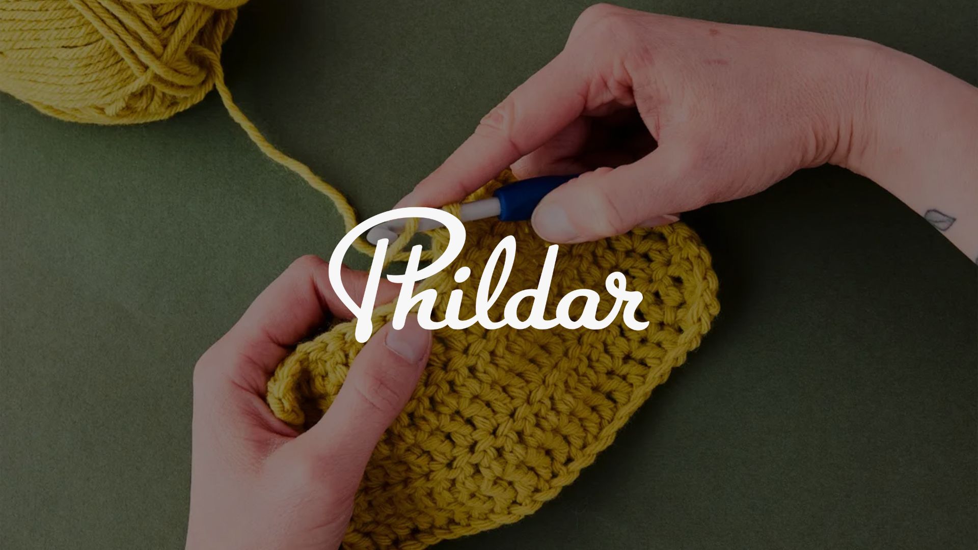 Cas client Phildar : DARWIN