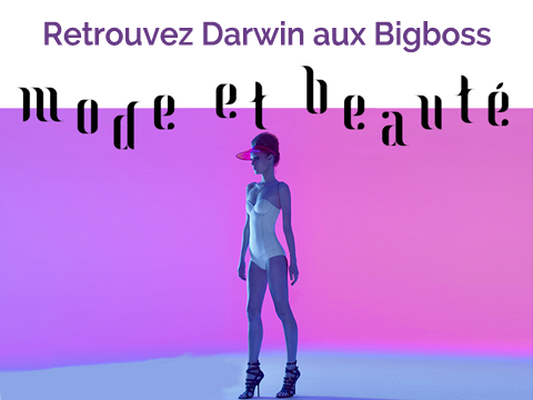 Bigboss Mode & Beauté