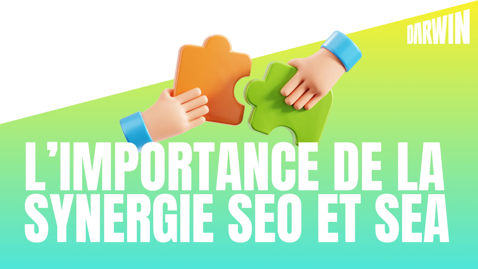 synergie seo / sea